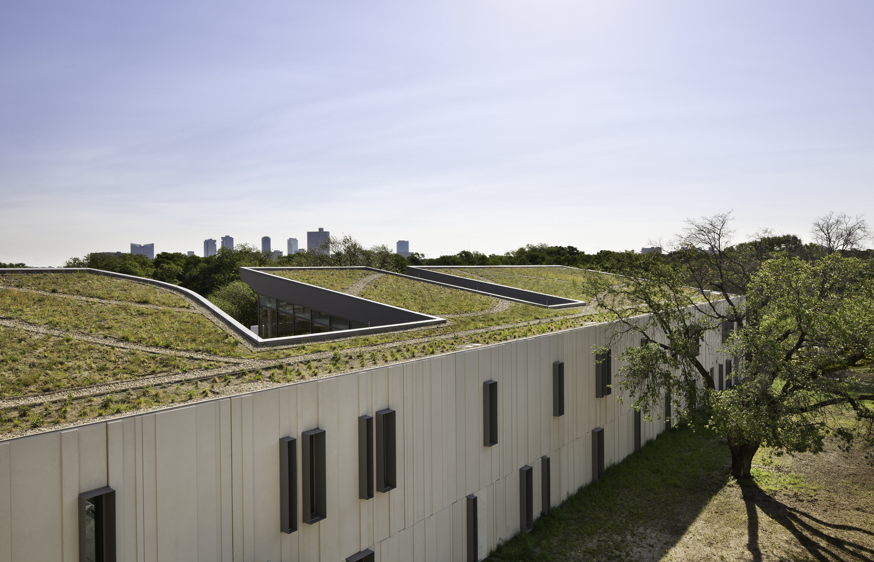 A grassy roof 