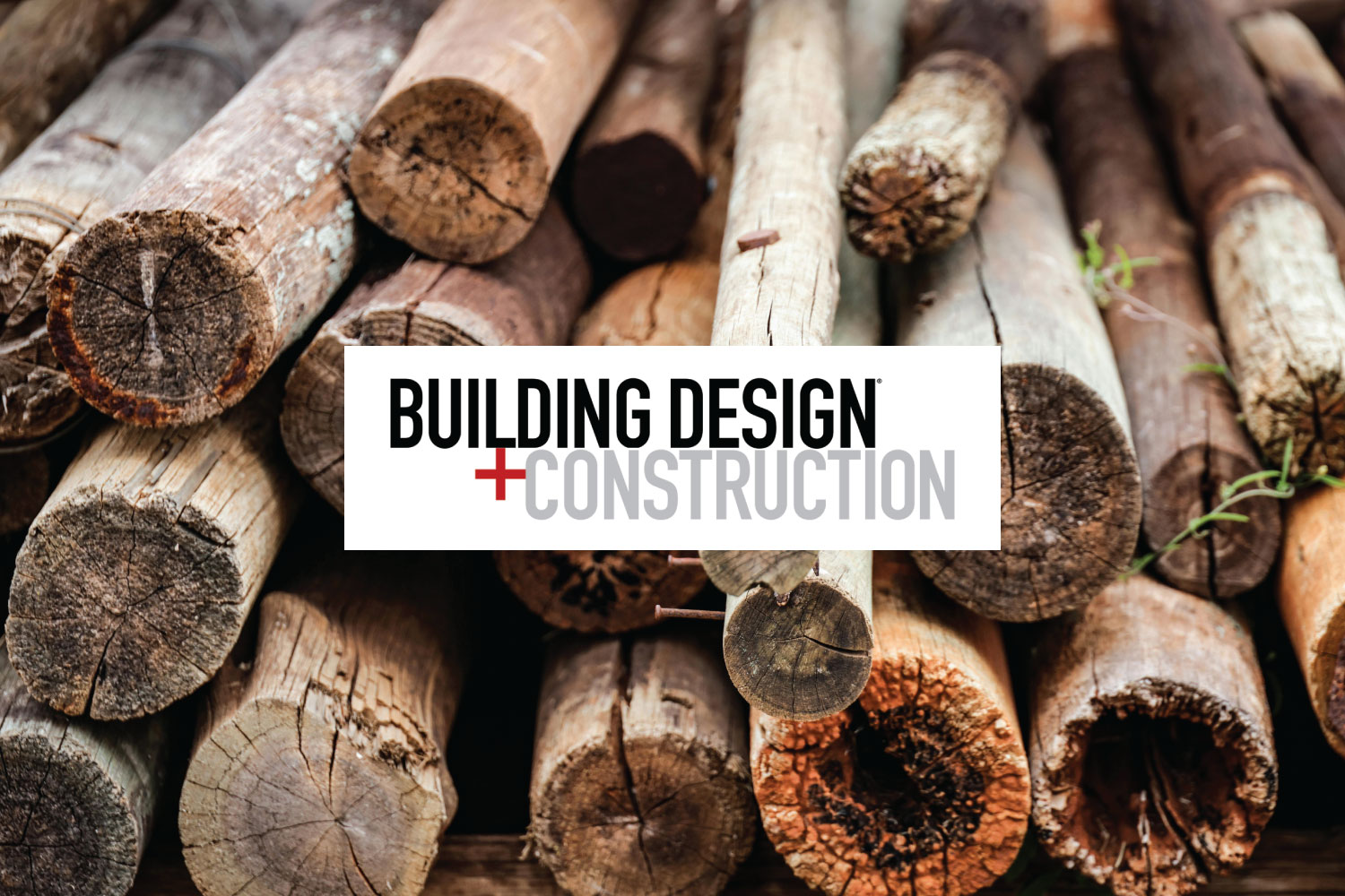 bdc-mass-timber