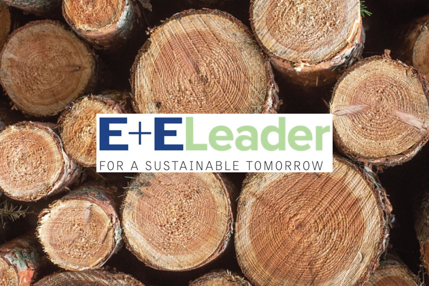 e-e-leader