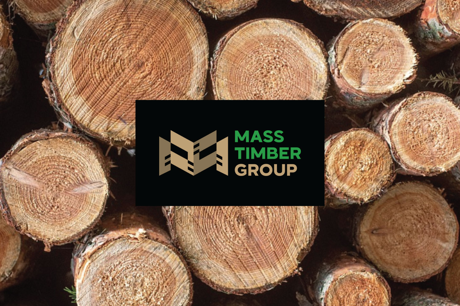mass-timber-group