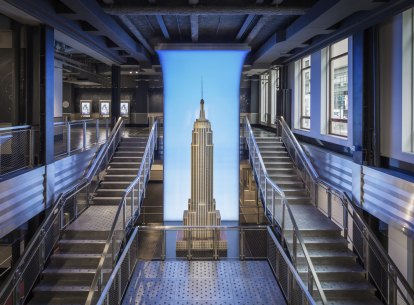 ESB Observation