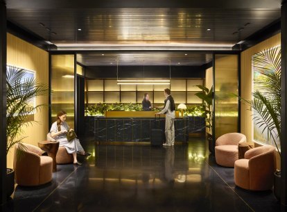 Premium Lounge DFW