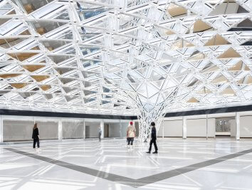 Buffalo AKG gallery room