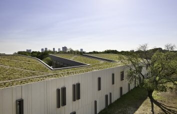 A grassy roof