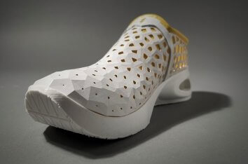 Joltz Shoe
