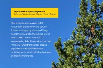 Forest-Management