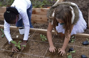 Garden volunteer Corgan