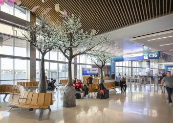 DFW High-C Park Inspiration