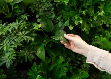 Vertical Farming Hero