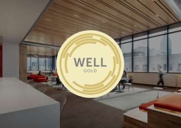 The-Luminary_WELL-Gold